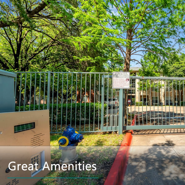 Features and Amenities